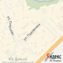 улица Пудовкина